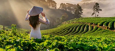 Авиабилеты во Вьетнам