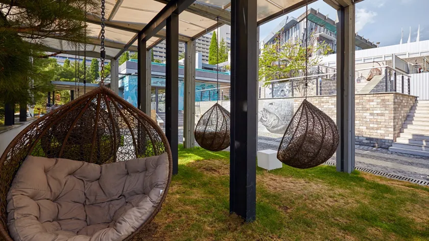Отель, зона отдыха на улице, подвесные кресла-коконы с подушками на траве