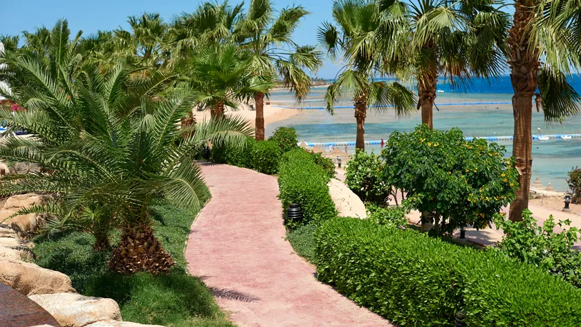 Извилистая дорожка среди зеленых кустарников и пальм, ведущая к песчаному пляжу и синему морю на тропическом курорте